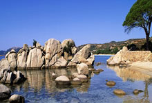 特朗普关税动作频频：将对韩征收15%关税 巴西则面临50%税率